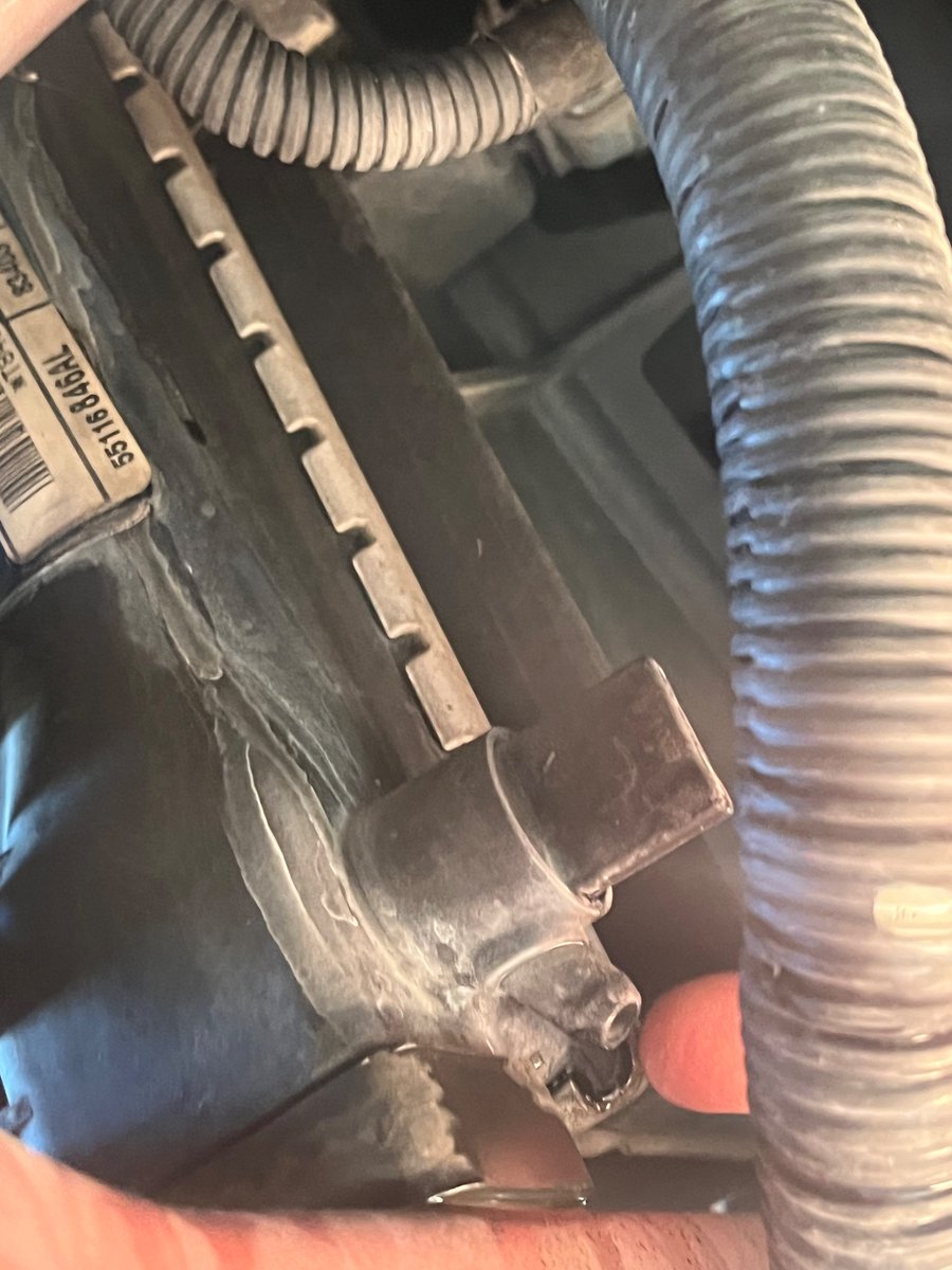 EFFING HOJO! tweet media