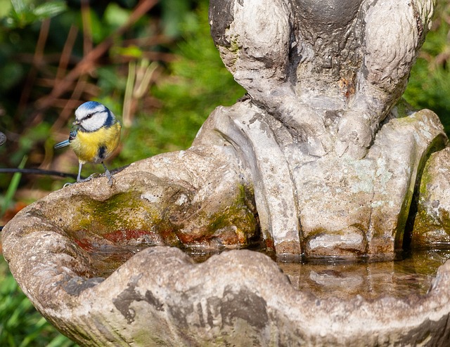 Jeffrey Moncure tweet media