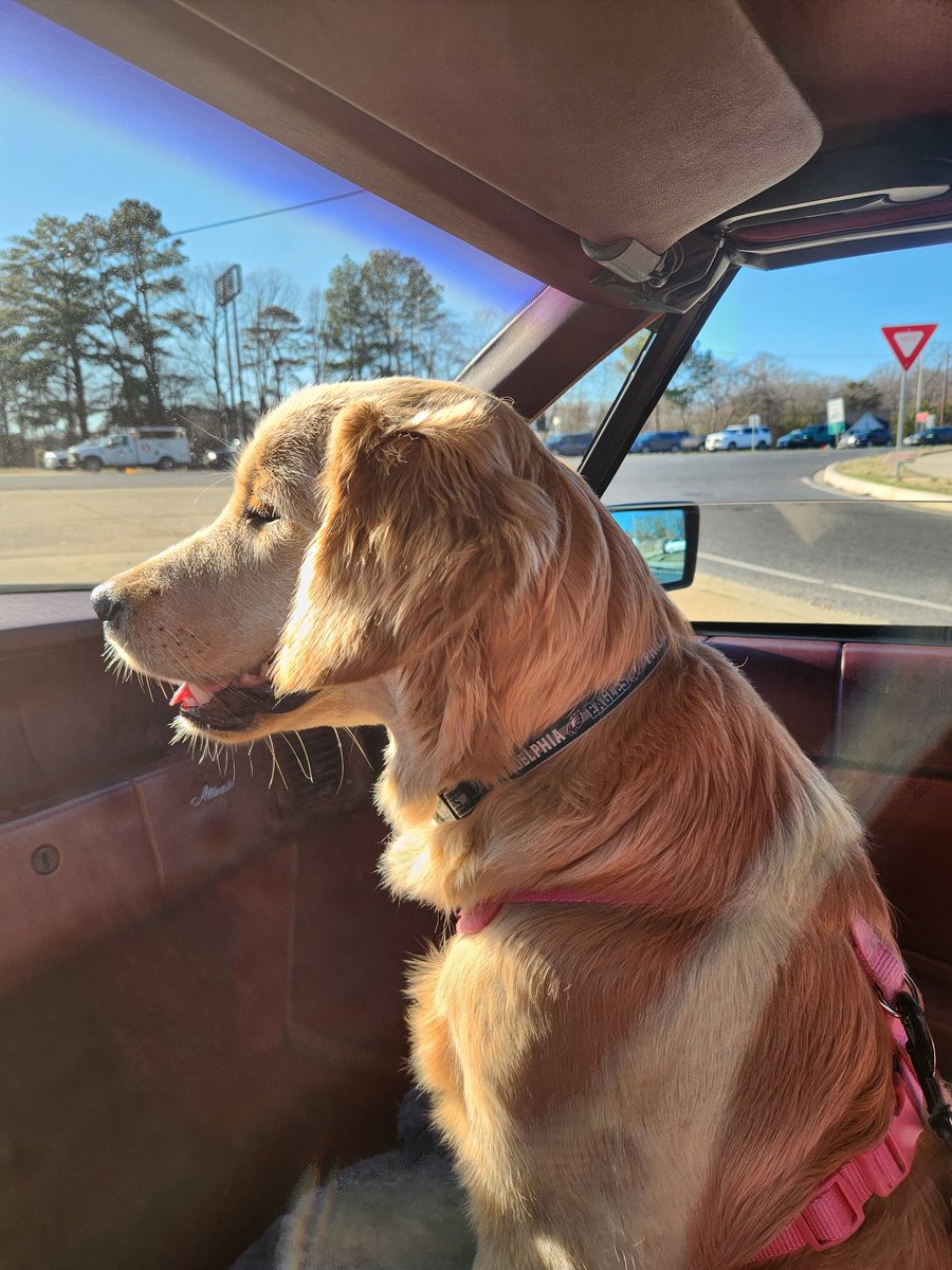 Lord Buffington 🇱🇻🇺🇸🇺🇦 tweet media