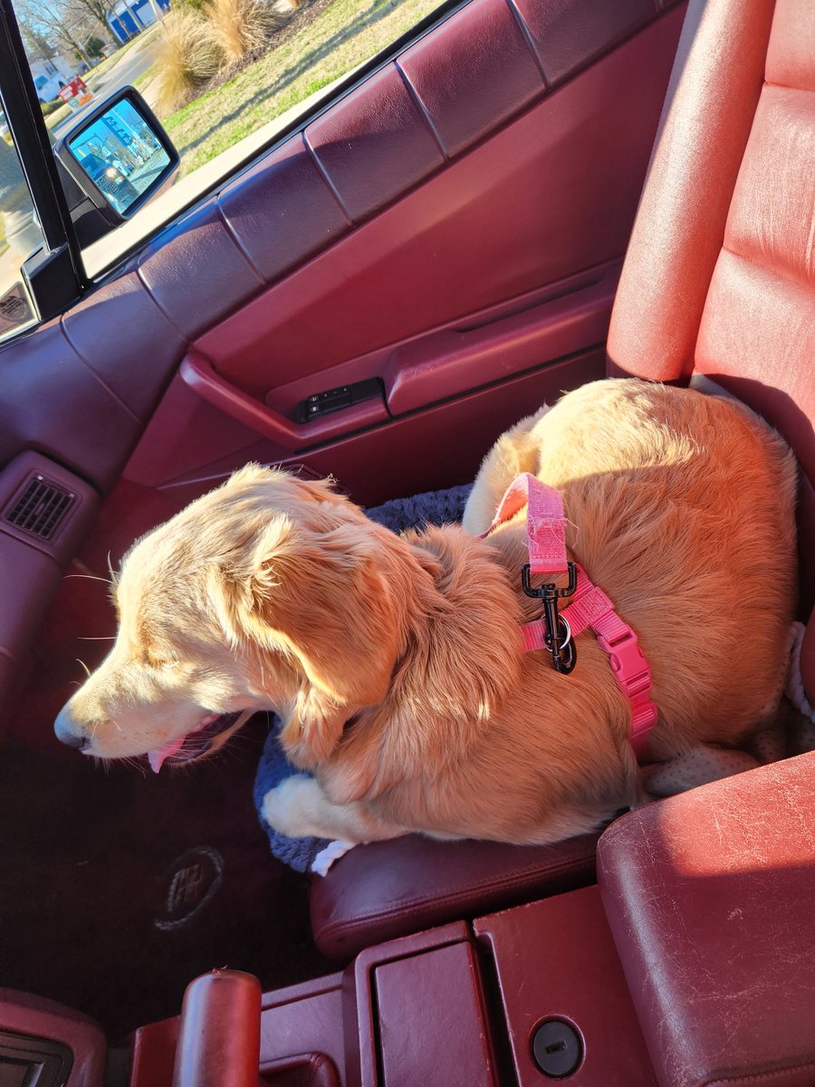 Lord Buffington 🇱🇻🇺🇸🇺🇦 tweet media