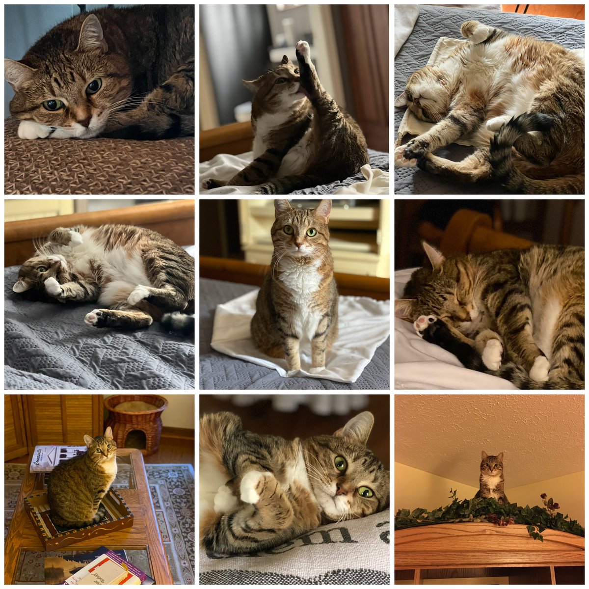 🌻Gretchen Hunter🌻 tweet media