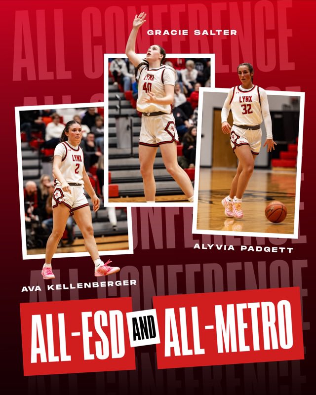 Brandon Valley Girls Hoops tweet media