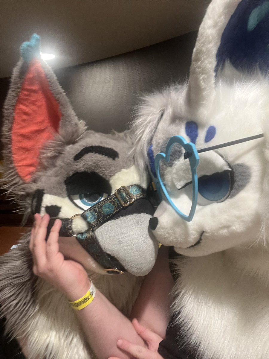 lillybug @ fl! tweet media