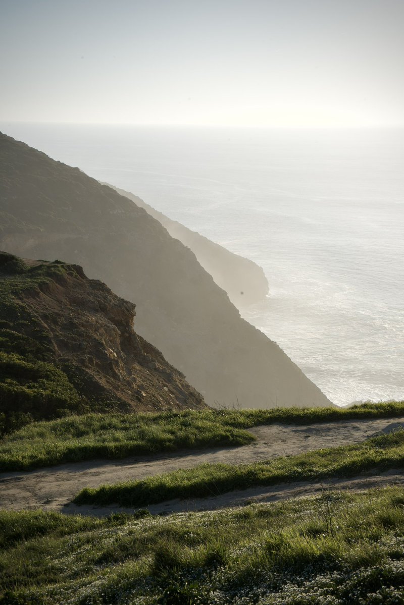 Smith.apt tweet media