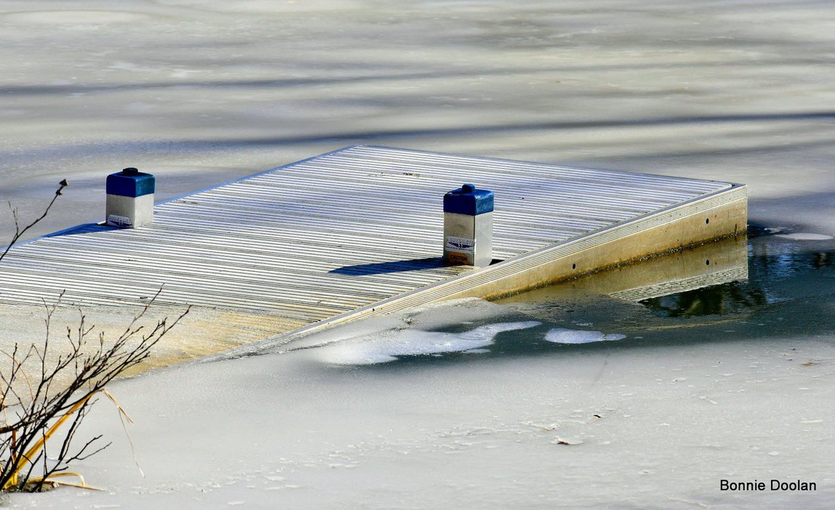 BonnieDool5t's tweet image. #WinterVibes