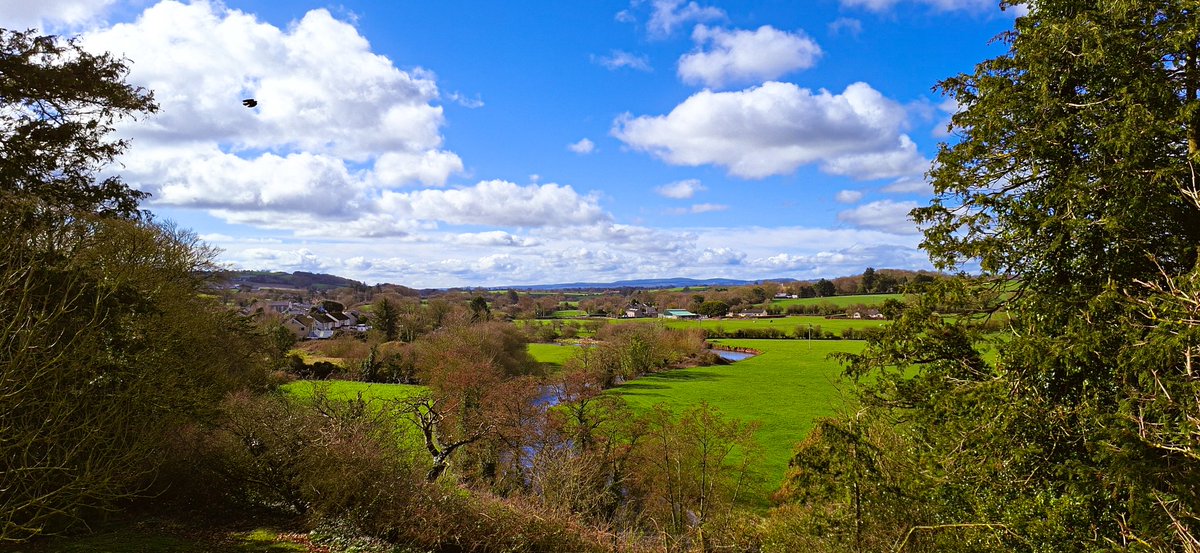 Patrick Kenealy tweet media