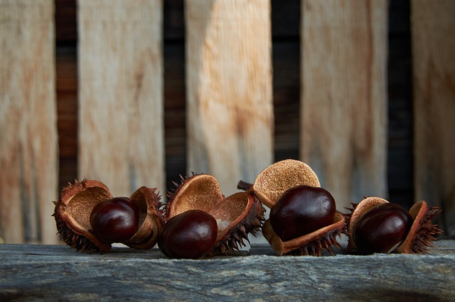 Rachel Verbitska tweet media