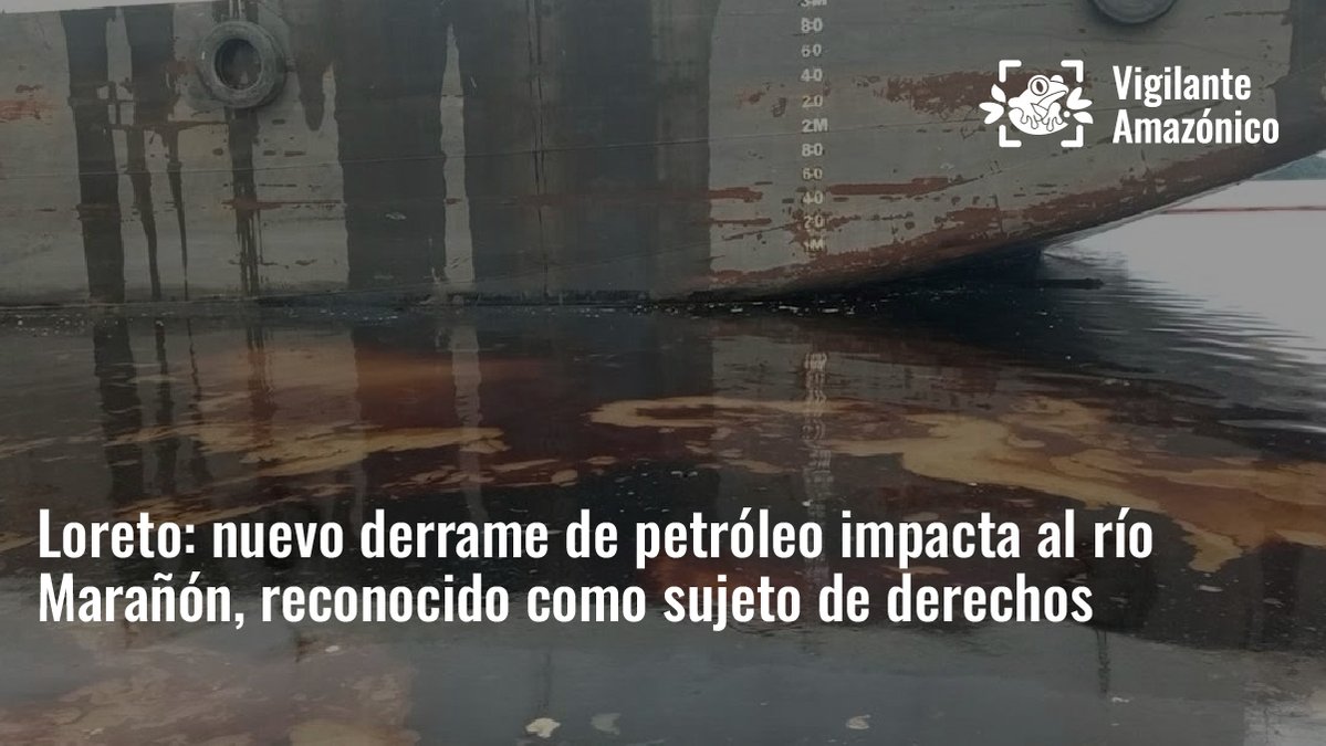 Vigilante Amazónico tweet media