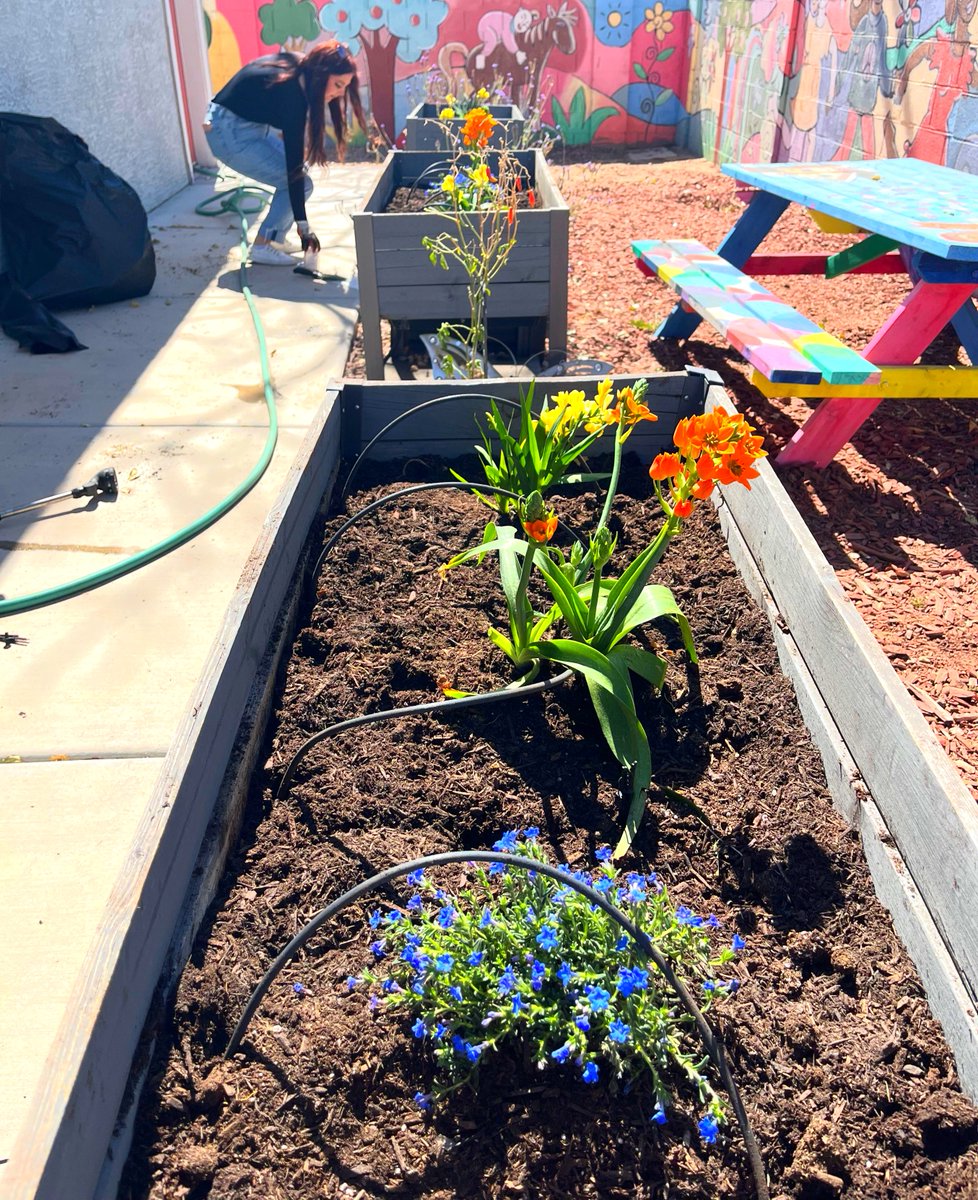 Thank you to the Alpha Chi Omega – Beta Omega Beta alumni group for spending their Saturday serving at Autumn House! Each year they return for a spring clean, tackling yard work, organizing, planting flowers, &amp; hosting a donation drive! We’re grateful for their continued support!