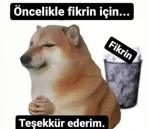 sadecesevimmm's tweet photo. @atavratpitbull @karakurtebrar18 https://t.co/2ld79KRixc