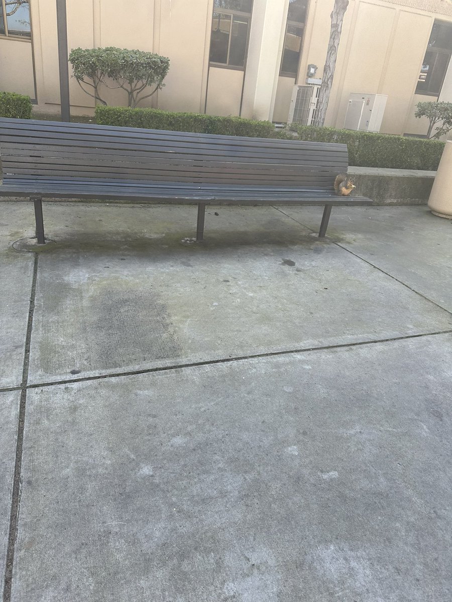 nunu 🐾 tweet media