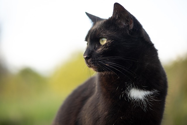 Maria Lopez tweet media