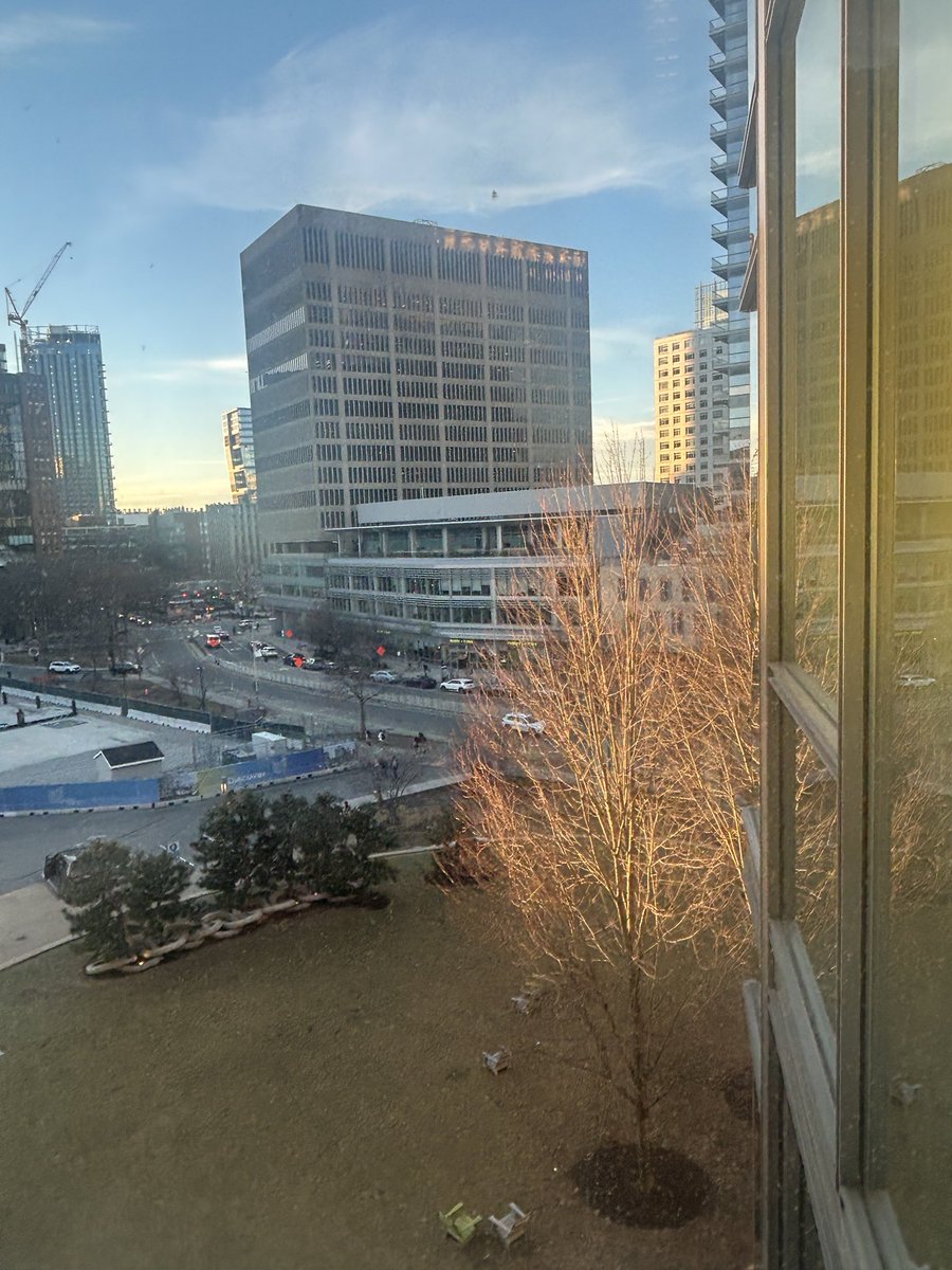 Rozhina Ghanavi tweet media