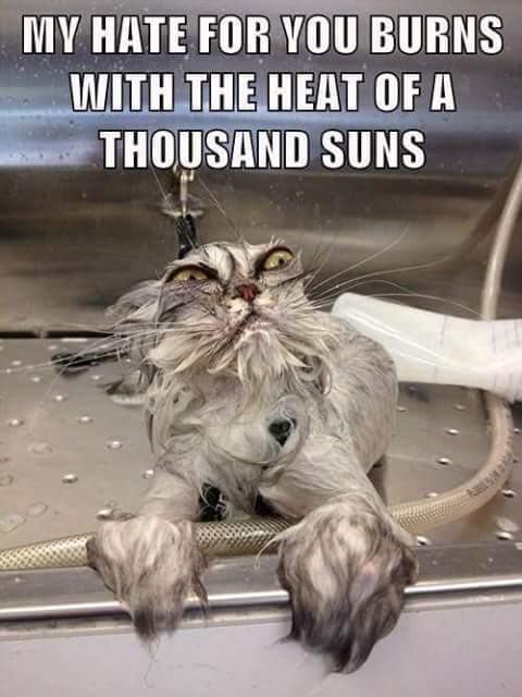 be1st2's tweet image. While we are here, we need to treat phone screen time like porn (R rated?).
No effective exposure till after high school.
Simple person to person phones only/voice and text/no net!
Software adjustment available, parents??

I'll blame society.