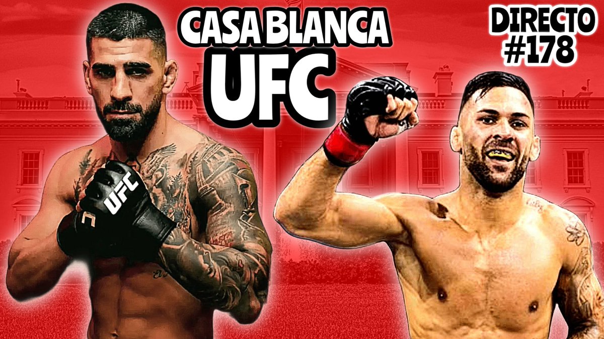 Pelunaton tweet media