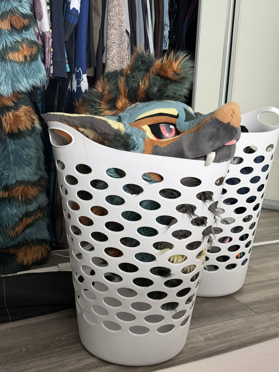 Kurama 🔜 LVFC tweet media