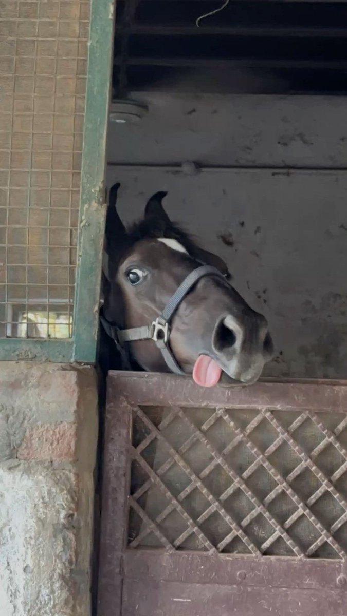 غريب tweet media