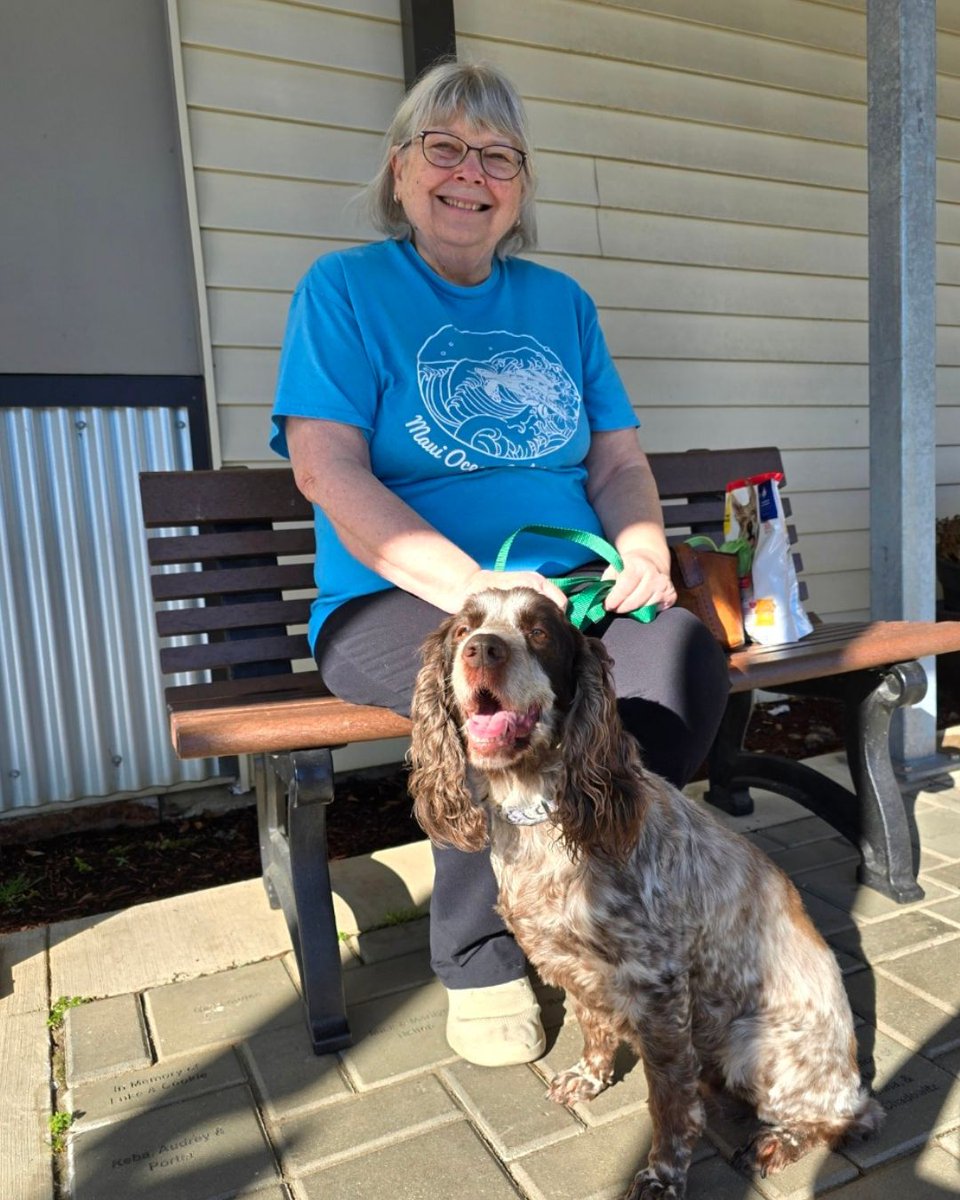 Greenhill Humane tweet media