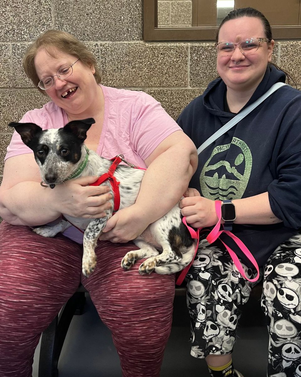 Greenhill Humane tweet media