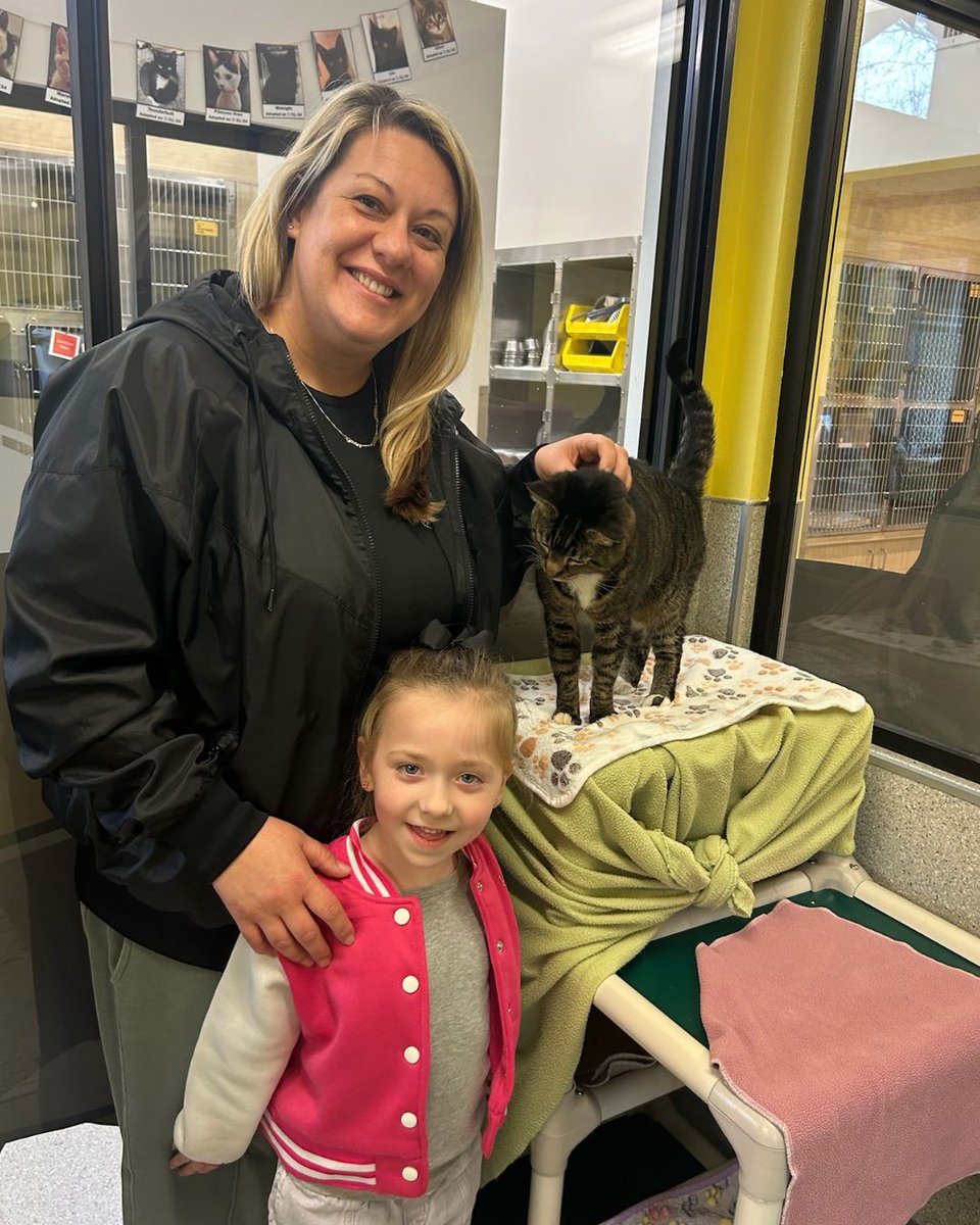 Greenhill Humane tweet media