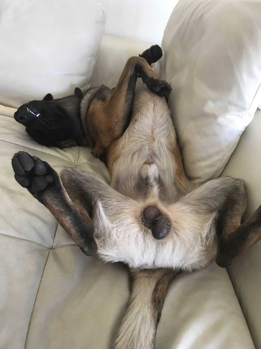 Axel Sheppy tweet media