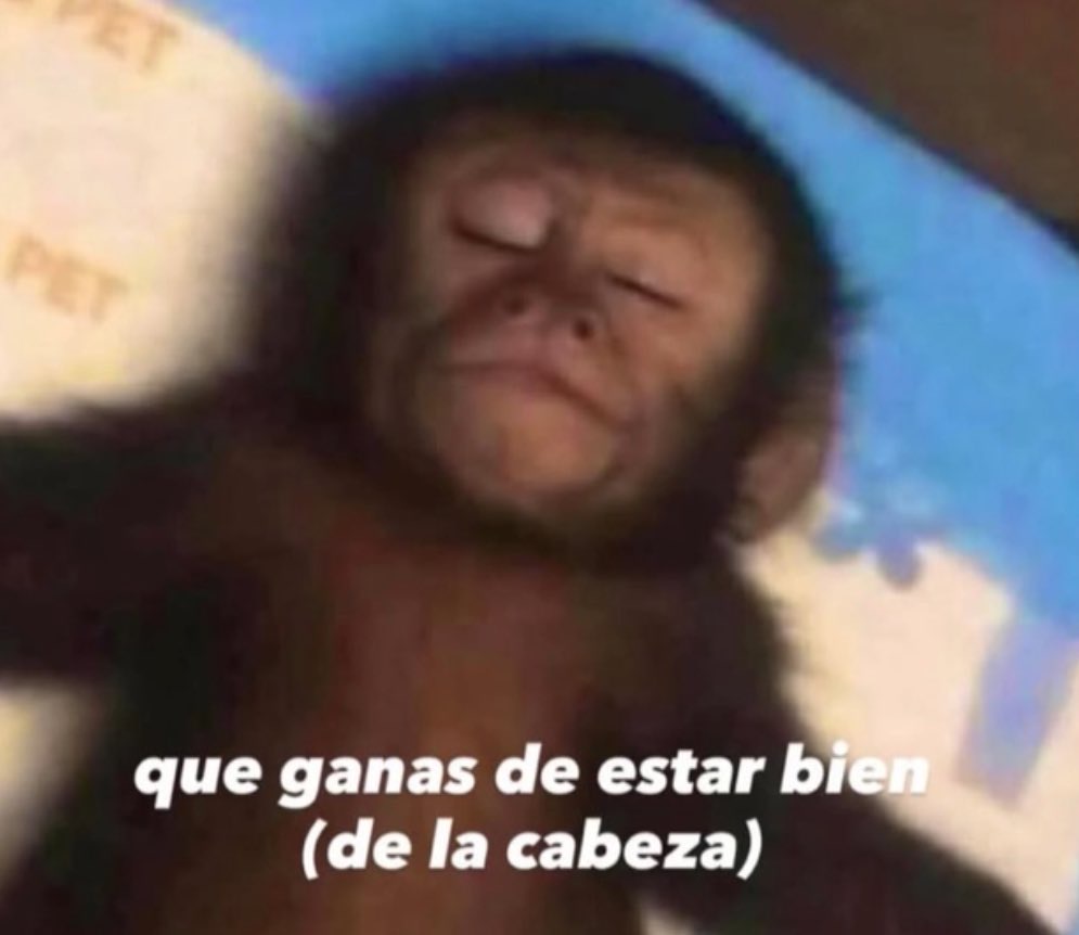 Que del orto que estoy, locoooooo.