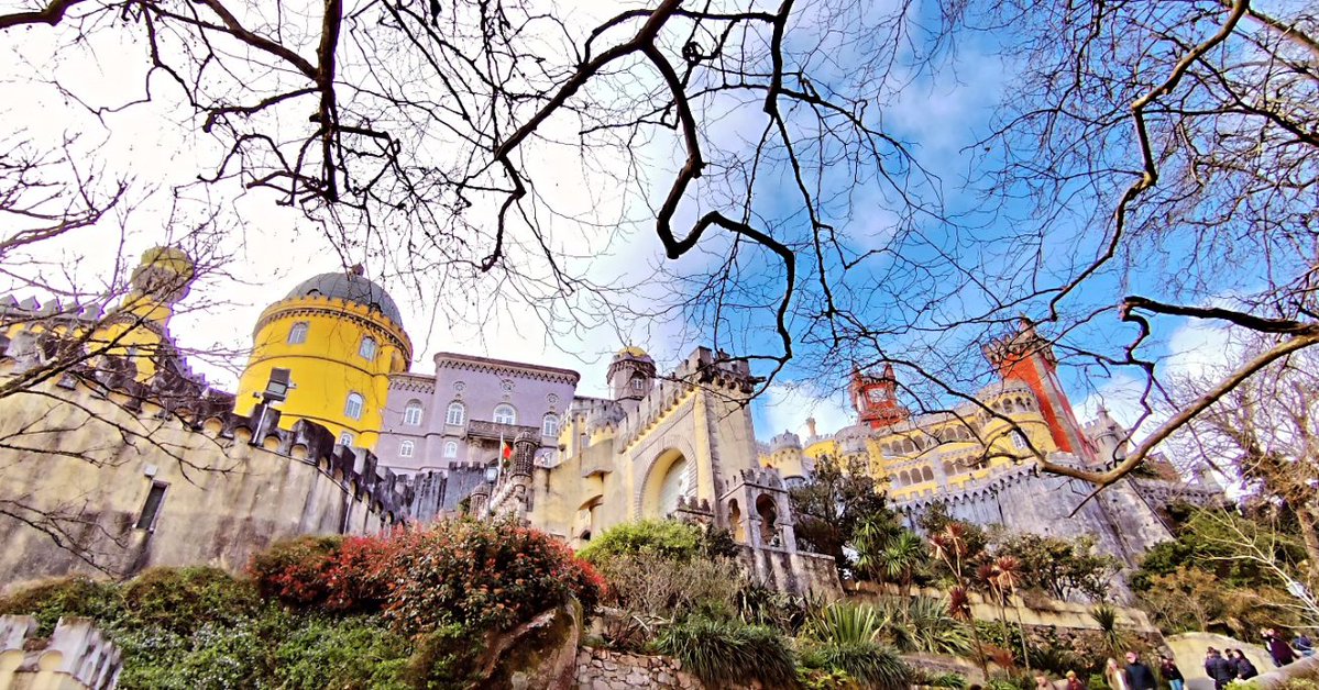 Daniel García Peris tweet media