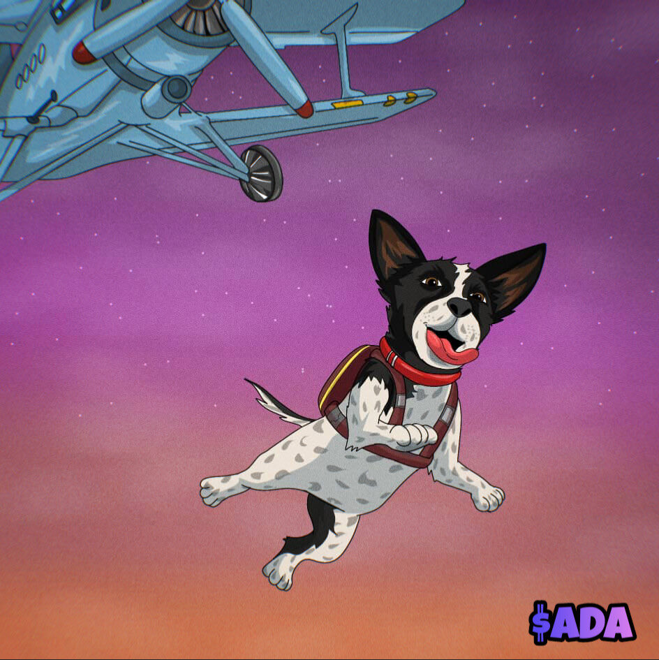 $ADA isn’t scared to take risks. She heard that the dogs in Bali needed her help asap