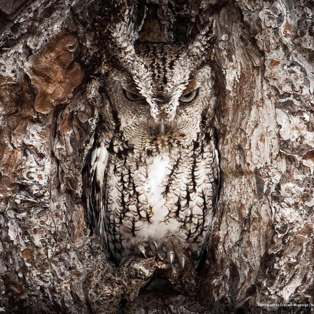 Kim Danek tweet media