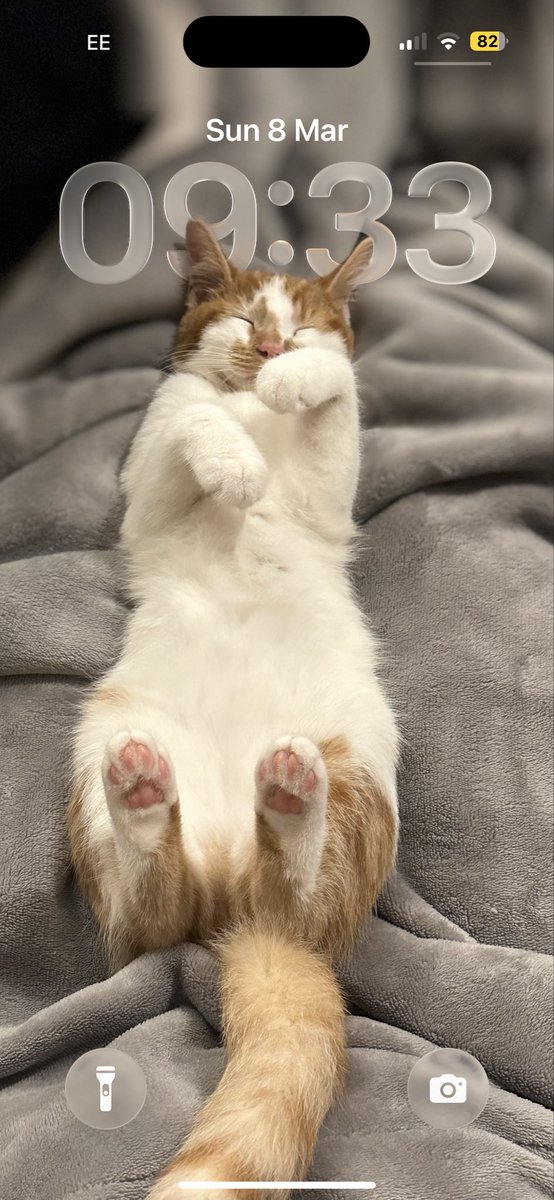 Space Lich and His Brick 🇺🇦 tweet media