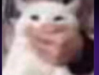 𝓼𝓪𝓶 | °Studytwt tweet media