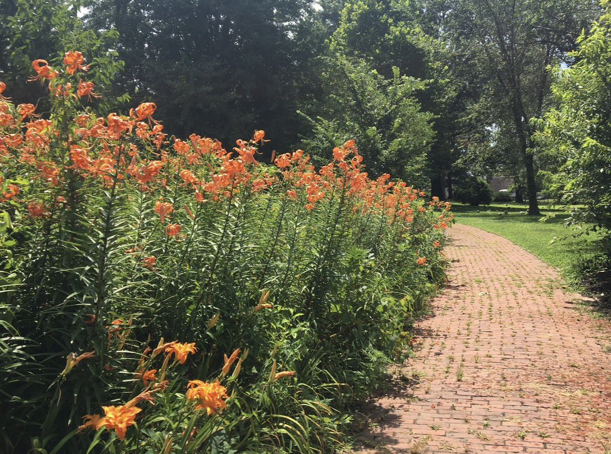 H.A. Callum tweet media