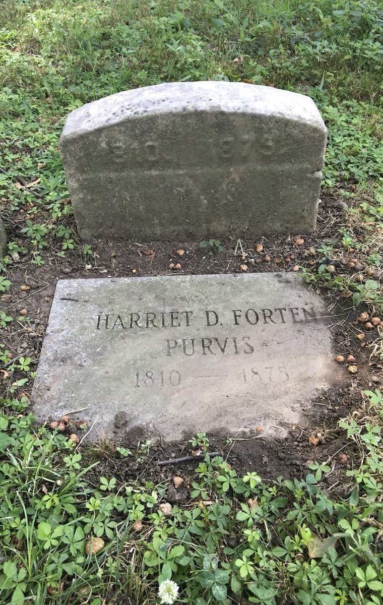 H.A. Callum tweet media