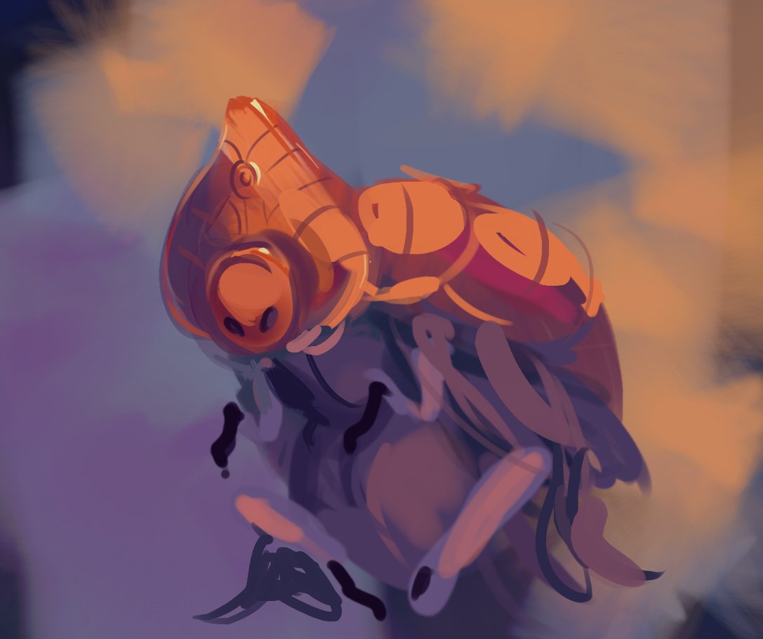 also wool tweet media