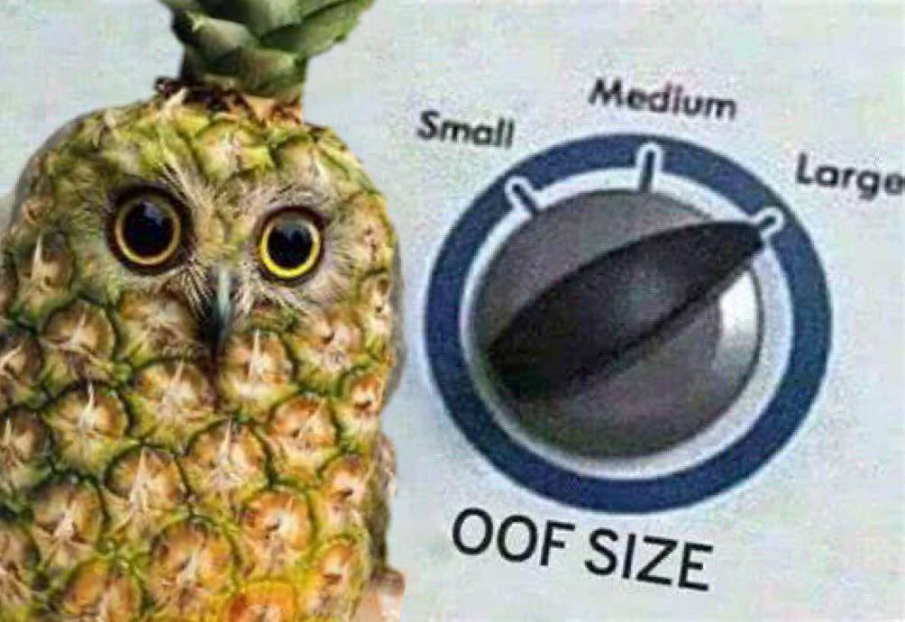 MOG ETF (🍍,🦉) tweet media