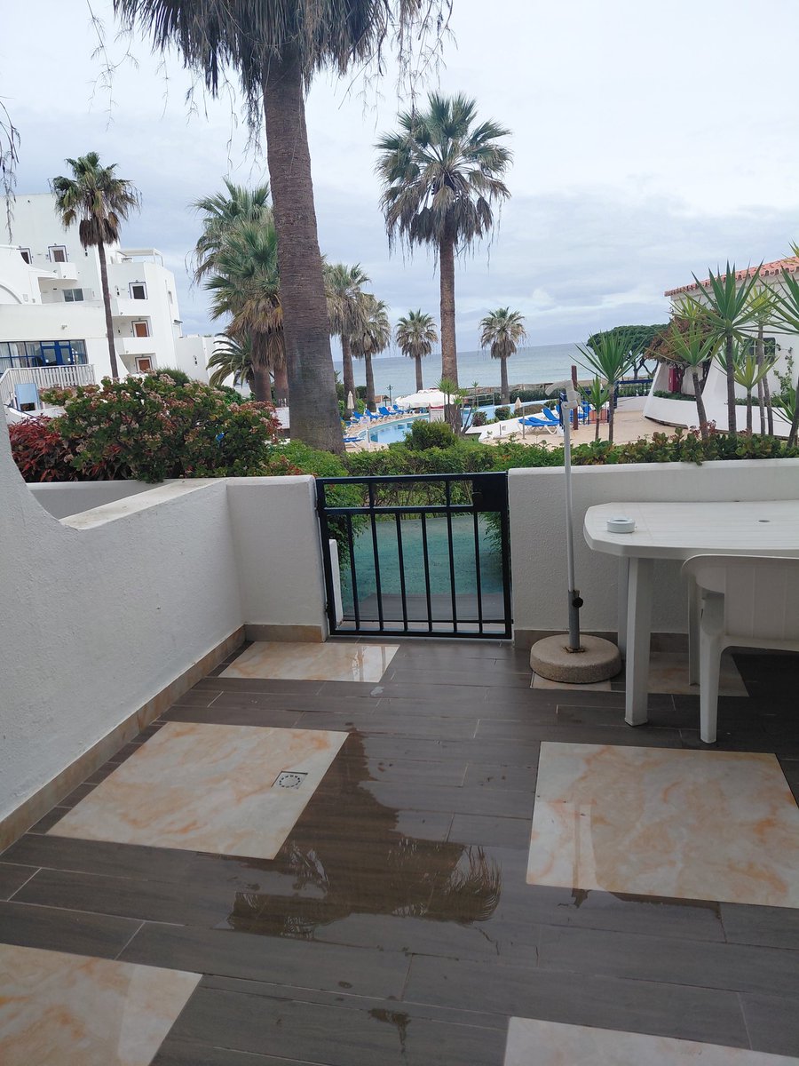 Carmel Wylie FBPE tweet media