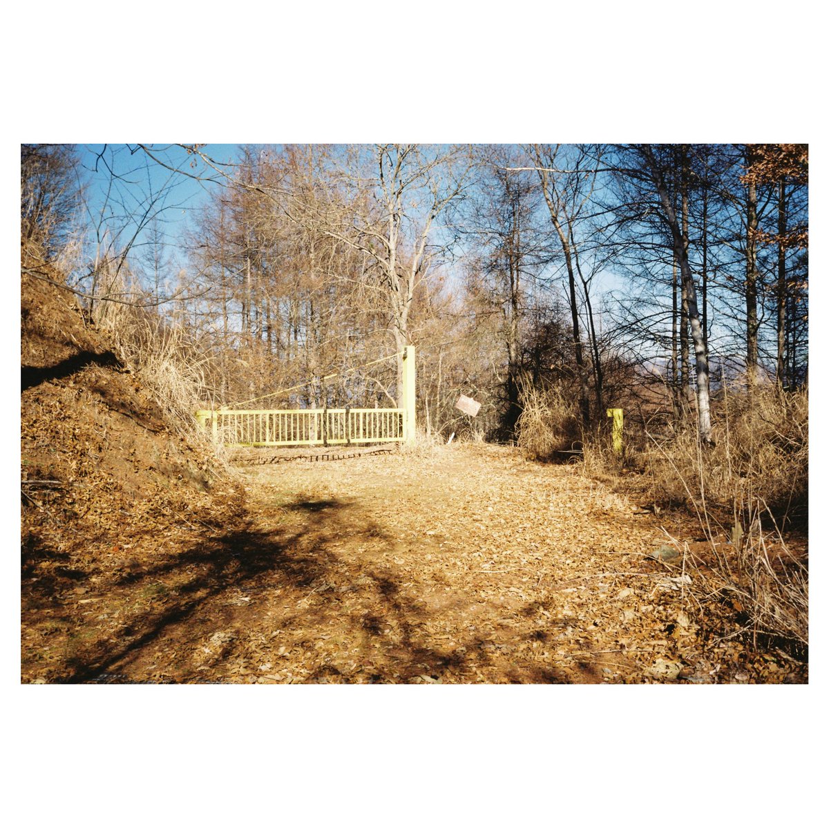 hacograph (@hacograph) on Twitter photo 