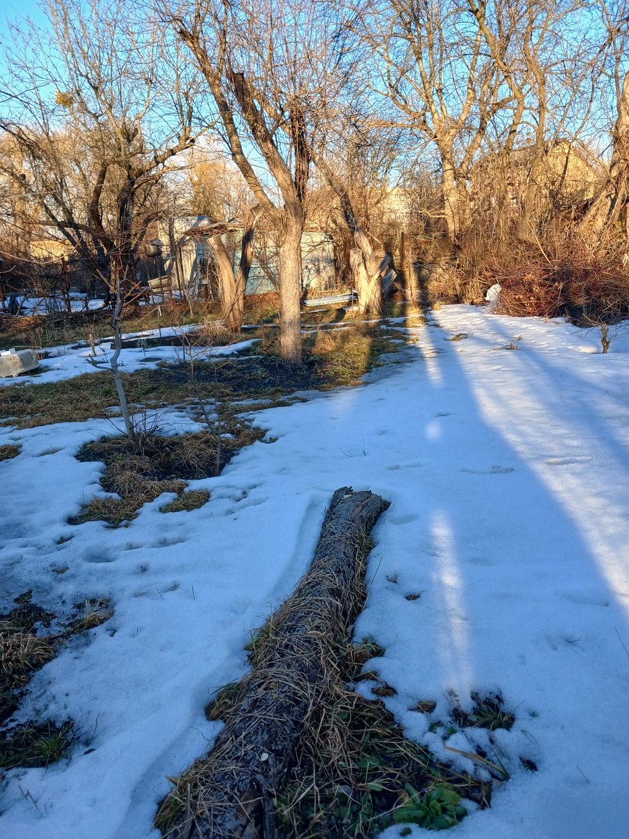 Julia Subbotina tweet media