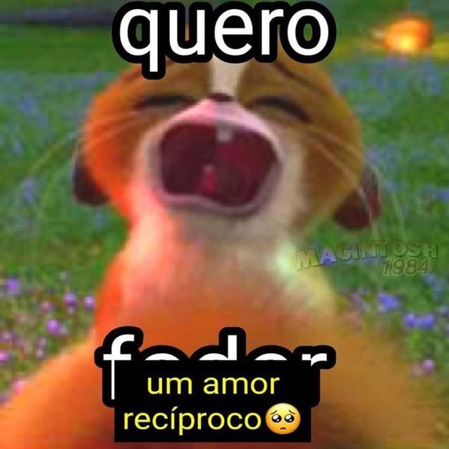 Traficante de Memes tweet media