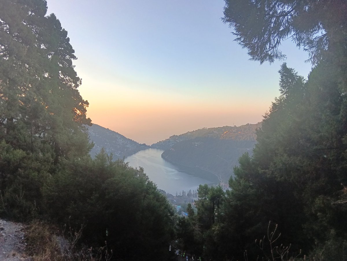 Reeta Pande tweet media