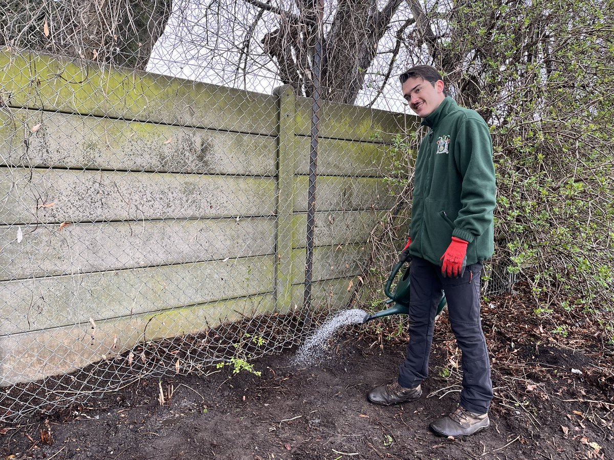 FFishponds's tweet photo. Planting began at Fishponds Playing Fields on Saturday. Thanks to Tooting Community Garden for donating the raspberry plants https://t.co/Xei4dp6h37