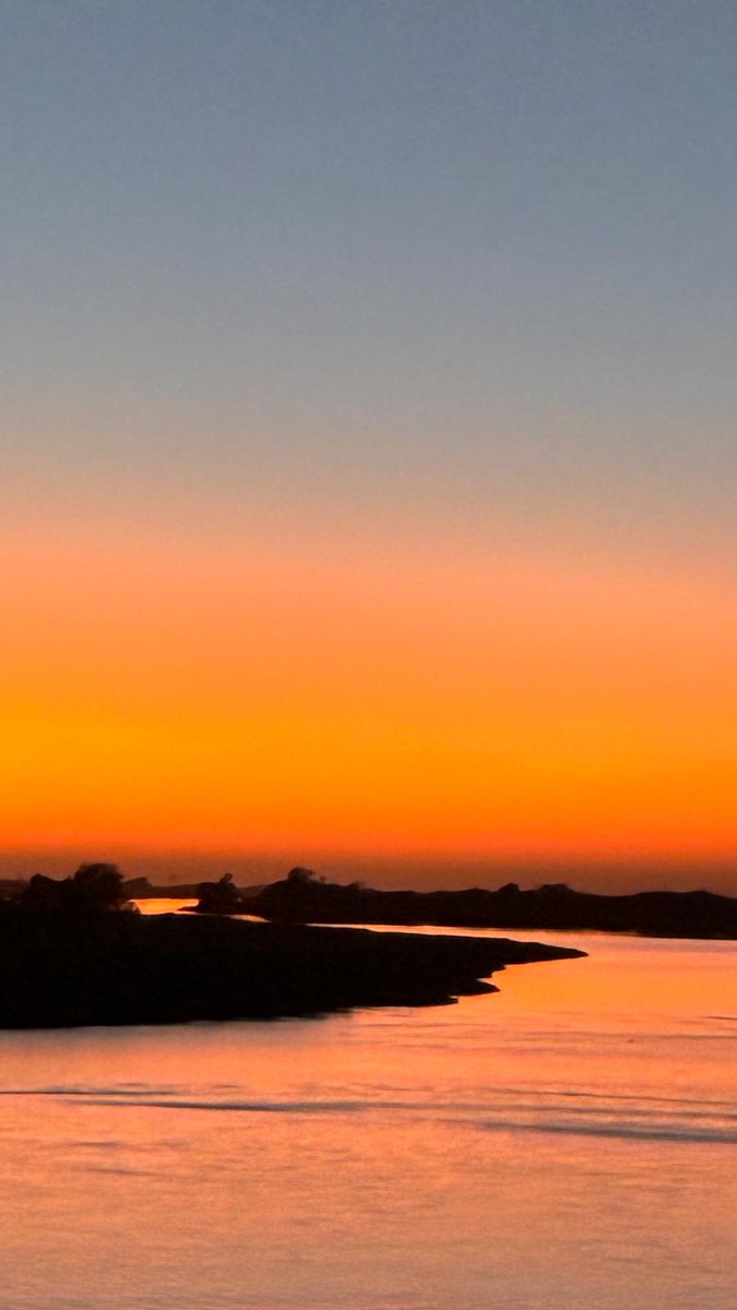 Christine Fages tweet media