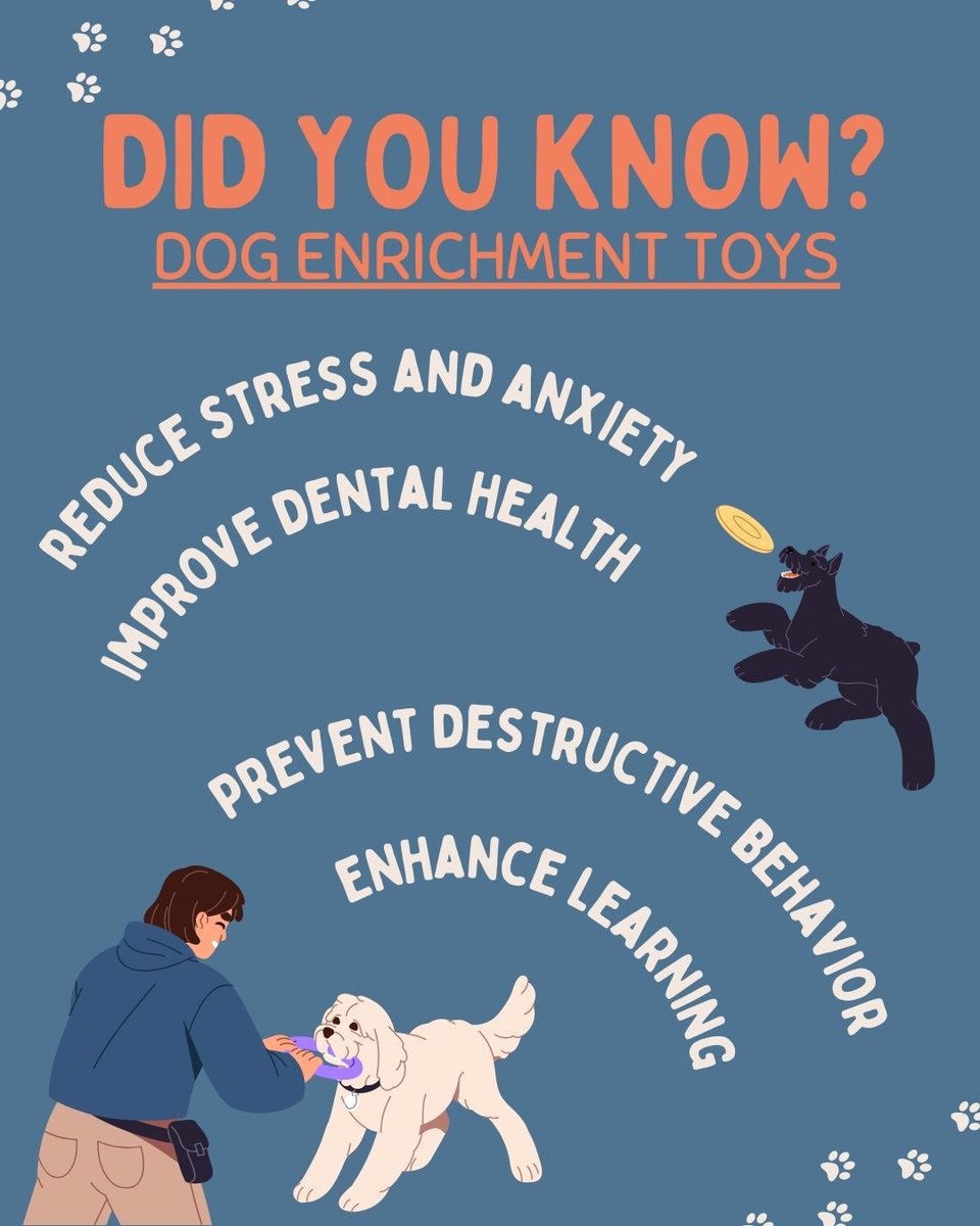 PAWSLA's tweet image. Psyched to have another great informational design from volunteer Katie O!

#dogenrichment #dogtoys #doghealth