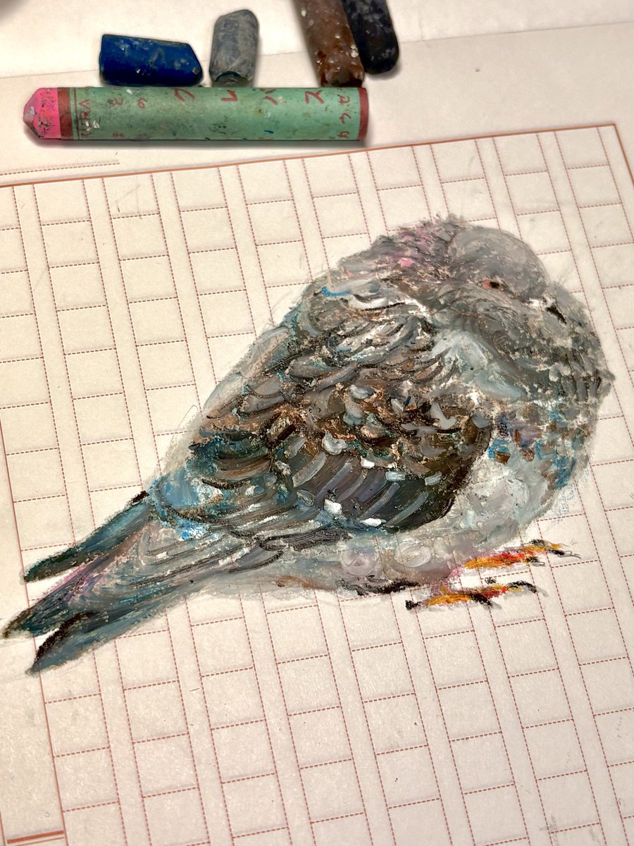 ほしの (@hoshino3033464) on Twitter photo 