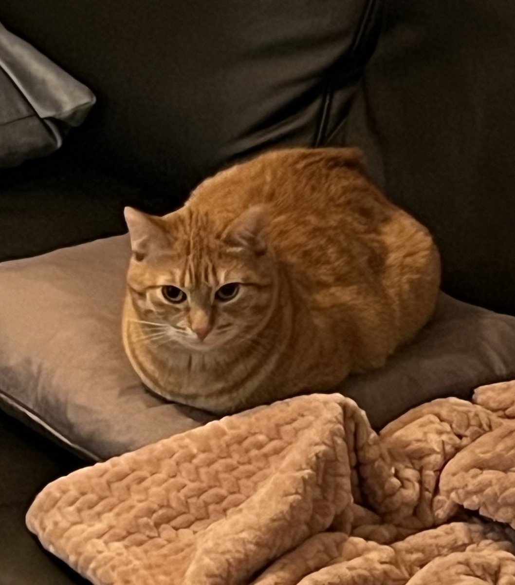 Line! 🙋♀️ Met DNP at TIT 7/9-24 🥹🤩 tweet media