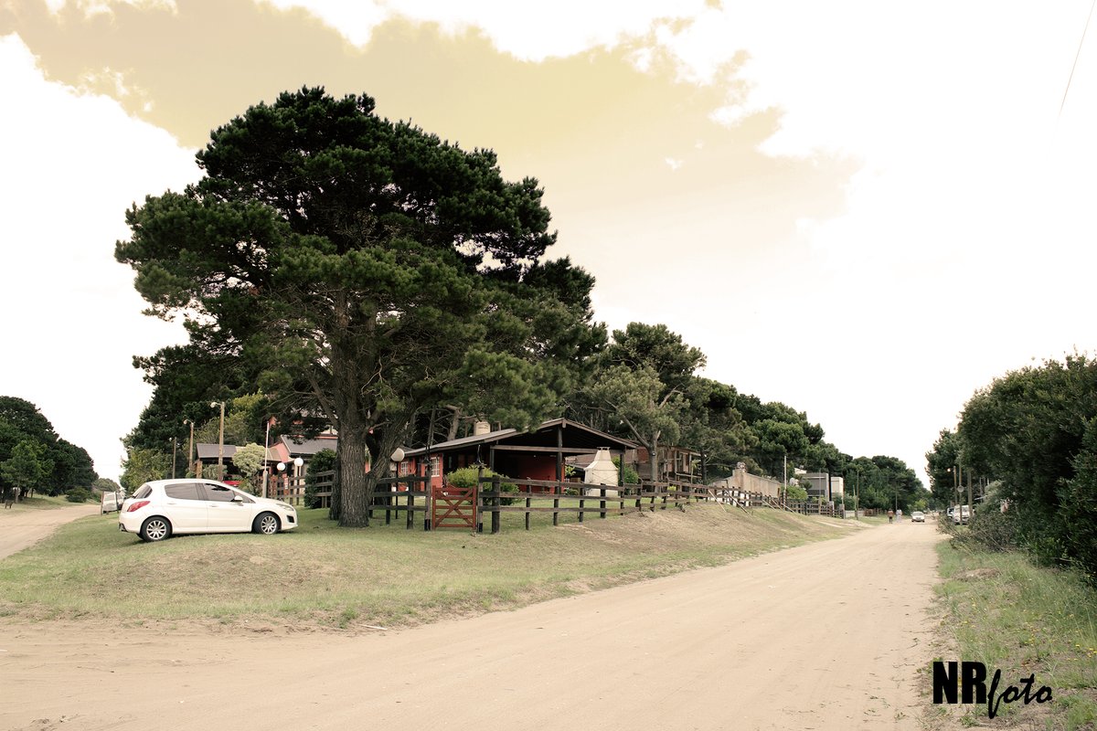 #argentina #nuevaatlantis #arboles #arboles #tree #photograpy #photo #landscape #paysage #paisaje #arboles #tree #sky #clouds #flora #fotografia #fotografie #color #auto #car #foto #arena #sand