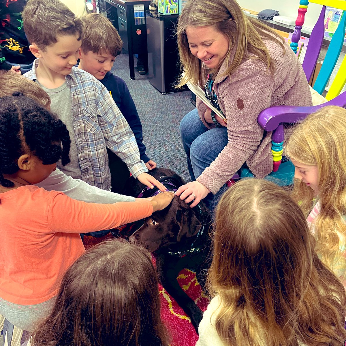 Amanda Dillon tweet media