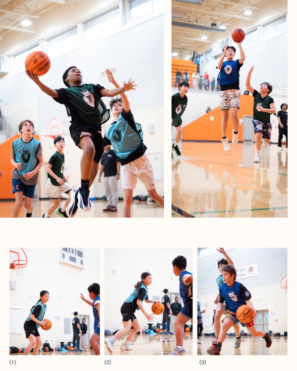 LOCALHOOPS tweet media