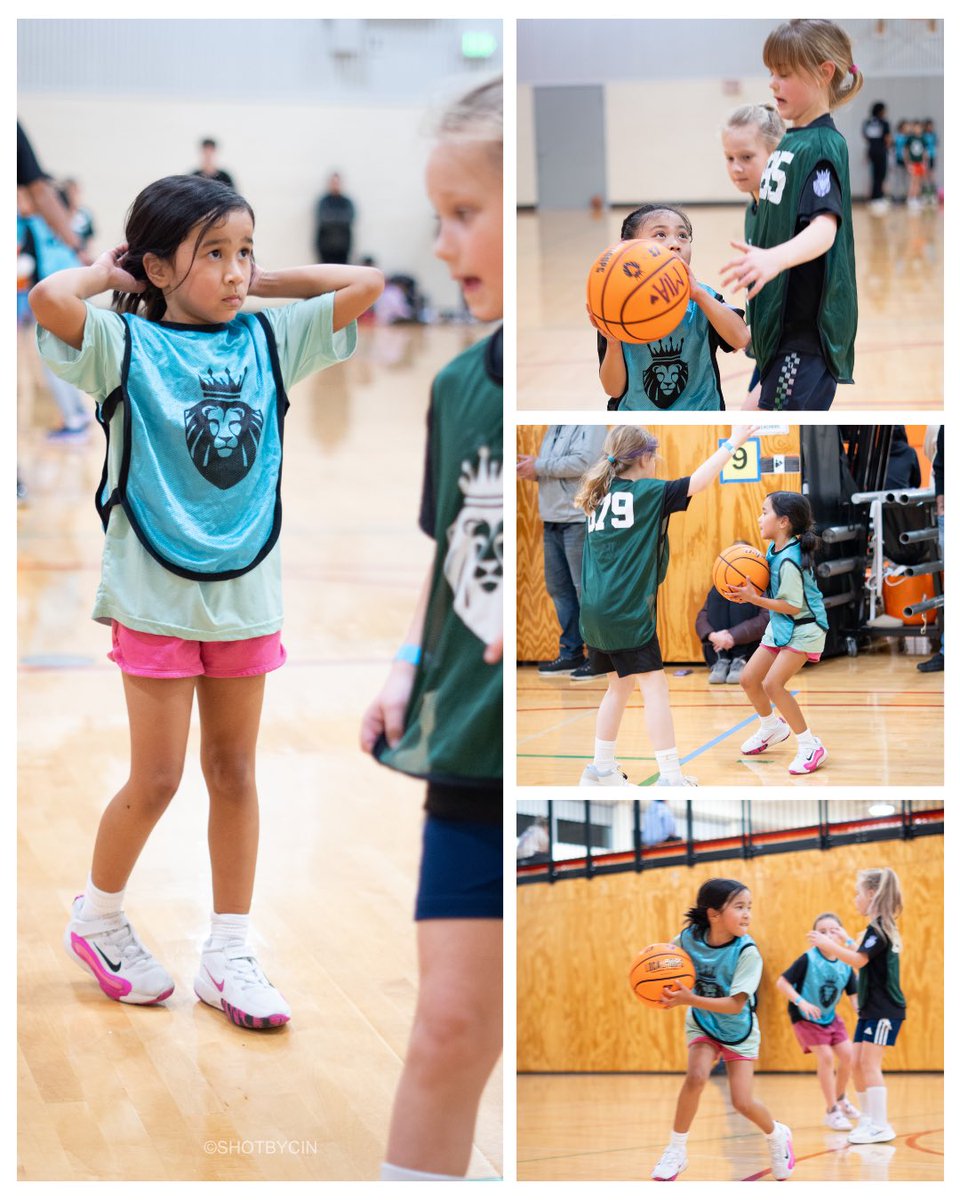 LOCALHOOPS tweet media