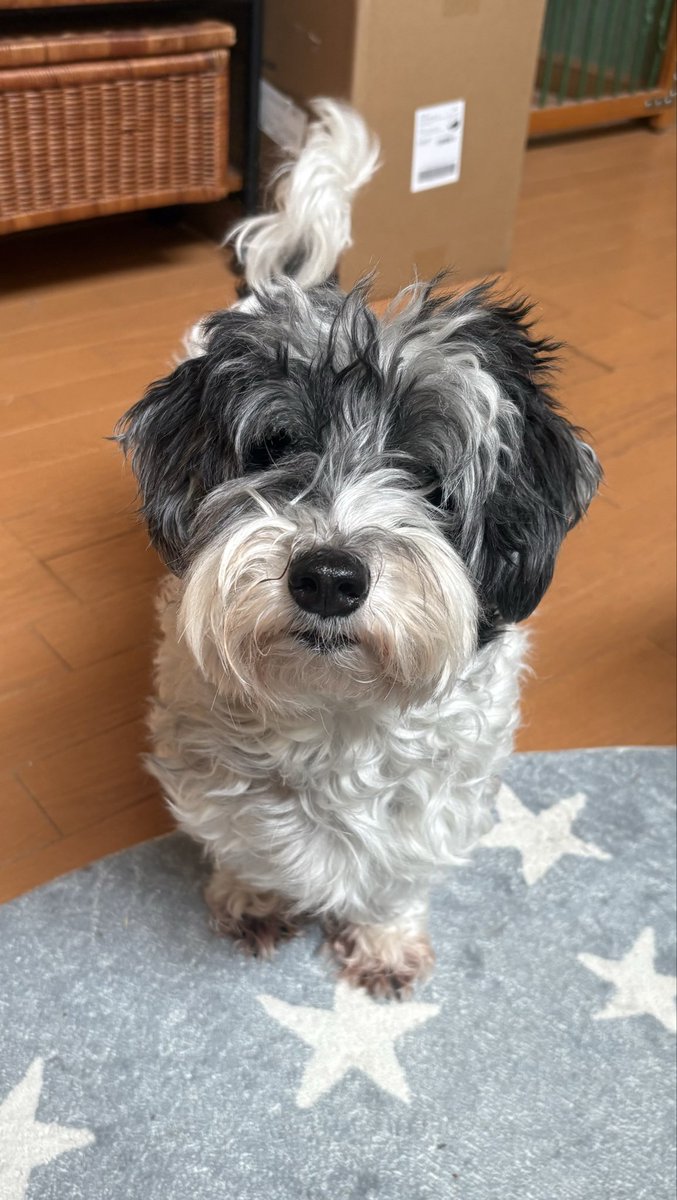 FT ぱんです‏ت 🍞 tweet media